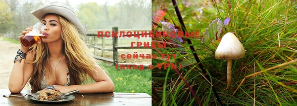 ГАЛЛЮЦИНОГЕННЫЕ ГРИБЫ Новодвинск