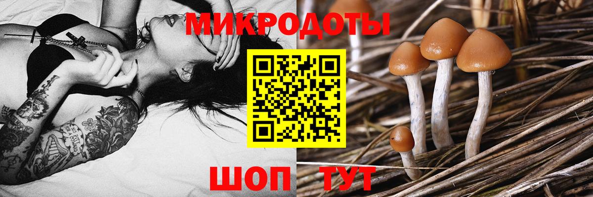 Псилоцибиновые грибы GOLDEN TEACHER Людиново