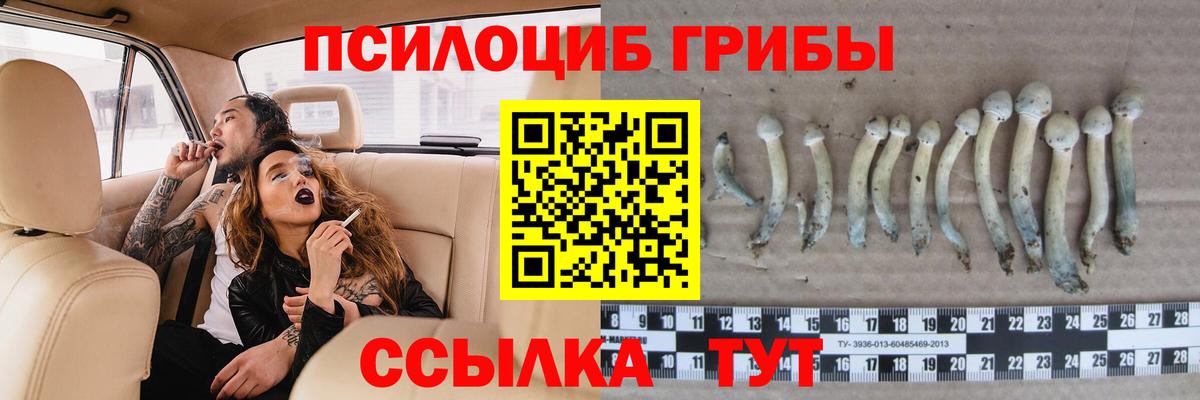 Галлюциногенные грибы MAGIC MUSHROOMS Людиново